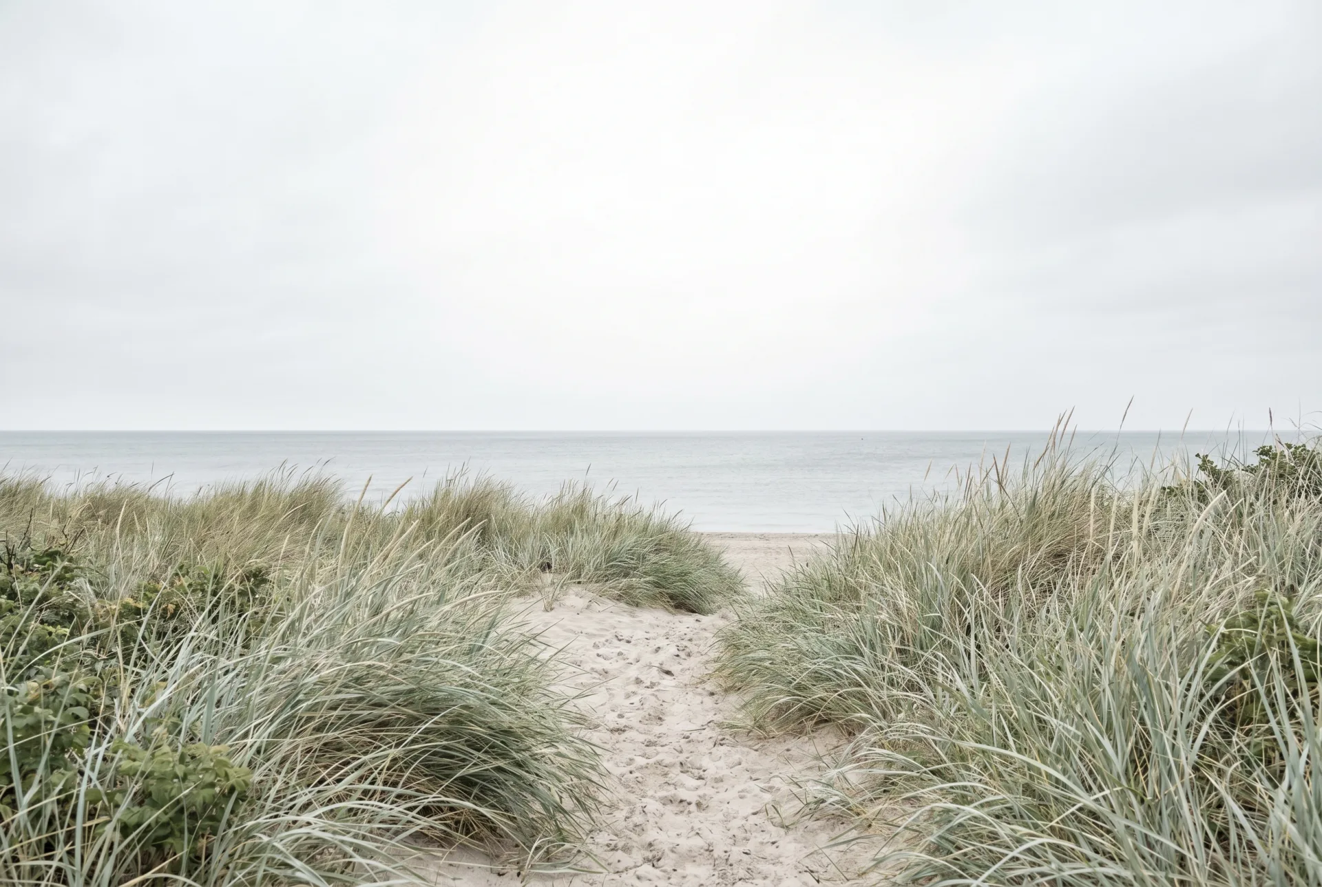 Spazierweg entlang der Küste mit Blick auf die Ostsee